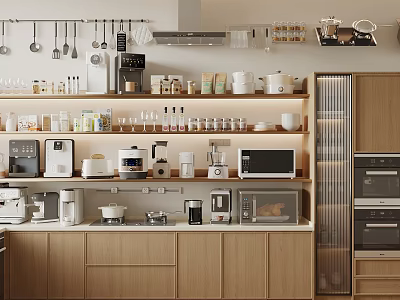 Modern Kitchen Interior With Multiple Appliances Wooden Cabinets Hanging Utensils And Spice Shelves 3d model