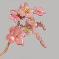 Beautiful Pink Flower Blooms With Delicate Petals And Yellow Stamens On Grey Background