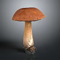 Fresh Wild Mushroom With Orange Spotted Cap And Brown Stalk Root Base