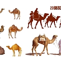 2D Camel Silhouette 3d model