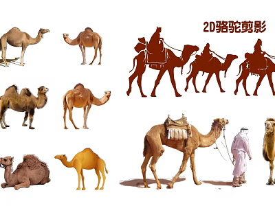 20 Camel Silhouettes With Various Poses Rider Figures And Artistic Design Elements 3d model