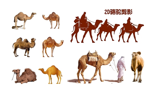 2D Camel Silhouette 3d model