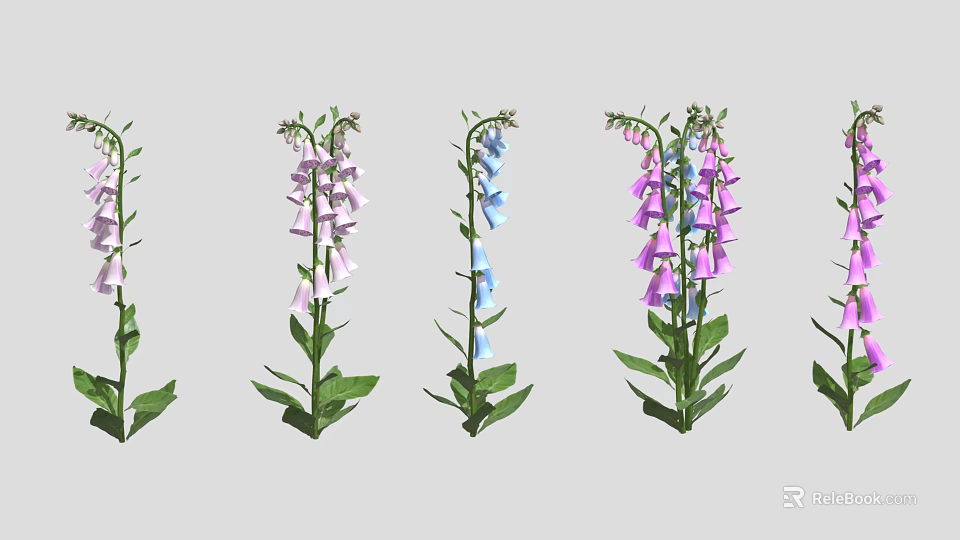 Colorful Foxglove Plants With Pink Blue Purple Flowers And Green Leaves On White Background 3d model 