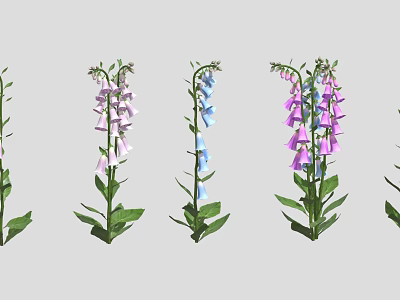 Colorful Foxglove Plants With Pink Blue Purple Flowers And Green Leaves On White Background 3d model
