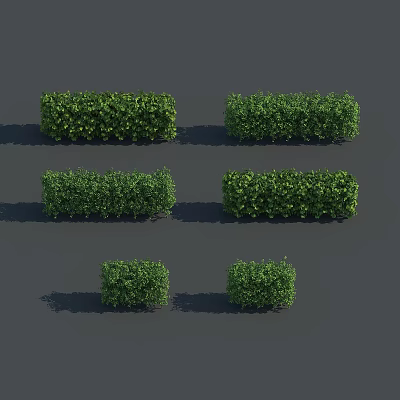 Six Green Trimmed Shrubs In Various Shapes On Gray Background 3d model