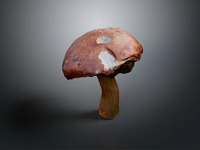 Fresh Brown Wild Mushroom With Textured Cap And Firm Stem For Cooking 3d model