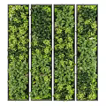 Green Plant Wall Vertical Garden Design With Lush Various Foliage Plants And Paneled Sections