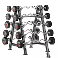UFC Sports Equipment Dumbbell Rack with Various Weight Plates and Multi Layer Design