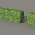 Two Well Trimmed Green Rectangular Shrubs In Block Shape For Garden Landscaping