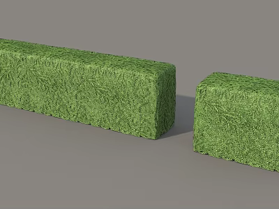 Two Well Trimmed Green Rectangular Shrubs In Block Shape For Garden Landscaping 3d model