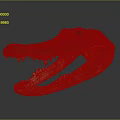 Modern Crocodile Specimen Alligator Nile Alligator 3d model