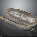 Wood Stone Natural Textured Long Strips Featuring Polished Surface Organic Material