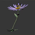 Purple Flower with Slender Petals Yellow Center and Bee on Green Stem