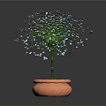 Decorative Potted Plant With Orange Pot And Blue Colorful Small Flowers