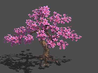 Beautiful Pink Flowering Tree With Brown Trunk And Gray Background 3d model