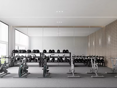 Modern Gym Interior With Exercise Bikes Dumbbell Racks Mirrors And Perforated Wall Panels 3d model