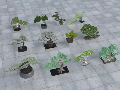 Diverse Bonsai Plants with Different Shapes in Decorative Pots on Floor 3d model