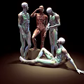 Anatomical Posture Man Anatomical Man Human Structure Bone Bone 3d model