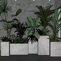 Bonsai Potted Plants In Stone Planters Against Textured Stone Wall Indoor