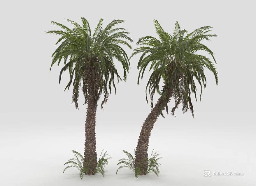 Two Tall Palm Trees With Lush Green Leaves And Textured Trunks 3d model 