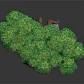 Cartoon Tree With Lush Green Leaves Brown Trunk And Foot Like Roots