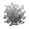 Modern New Coronavirus New Coronavirus Bacterial Cell Biological Research Biochemistry Scientific Research Drawing 3d model