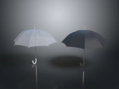 Two Standing Umbrellas White and Black on Gray Background with Reflections 3d model