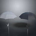Two Standing Umbrellas White and Black on Gray Background with Reflections