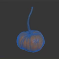 Fresh Ripe Orange Pumpkin With Long Stem As Healthy Food Ingredient