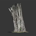 Rustic Wooden Stump Sculpture Featuring Natural Wood Grain And Stone Base