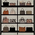 Stylish Designer Handbags Collection With Various Styles Colors And Designs On Shelves