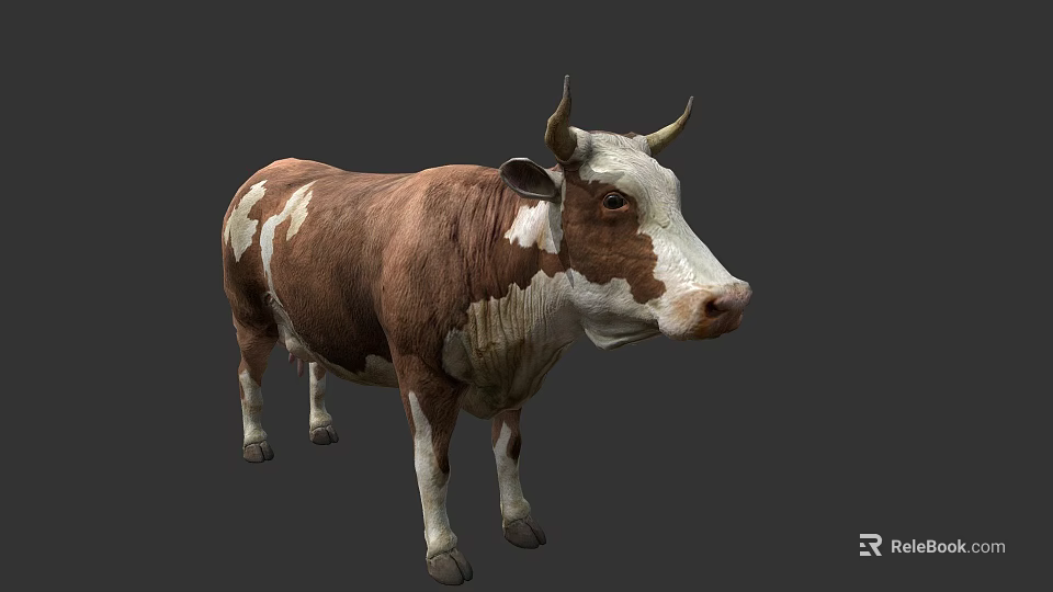 Brown And White Cow With Horns Standing On Gray Background 3d model 