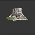 Natural Wood Tree Stump Decorative Item Featuring Stone Accents And Lush Green Moss
