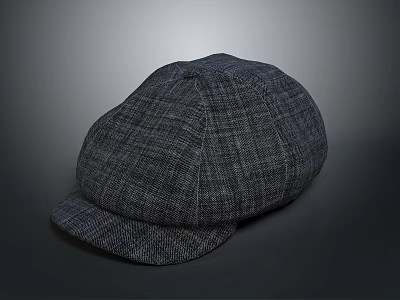 Fashionable Grey Plaid Newsboy Cap Casual Daily Life Essential Headwear Accessory 3d model