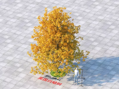 Yellow Leaf Arbor With Square Pavement Circular Green Area And Standing Person 3d model