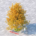 Yellow Leaf Arbor With Square Pavement Circular Green Area And Standing Person