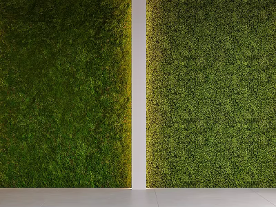 Lush Indoor Living Plant Wall With Vertical Garden Design And Bright Natural Light 3d model