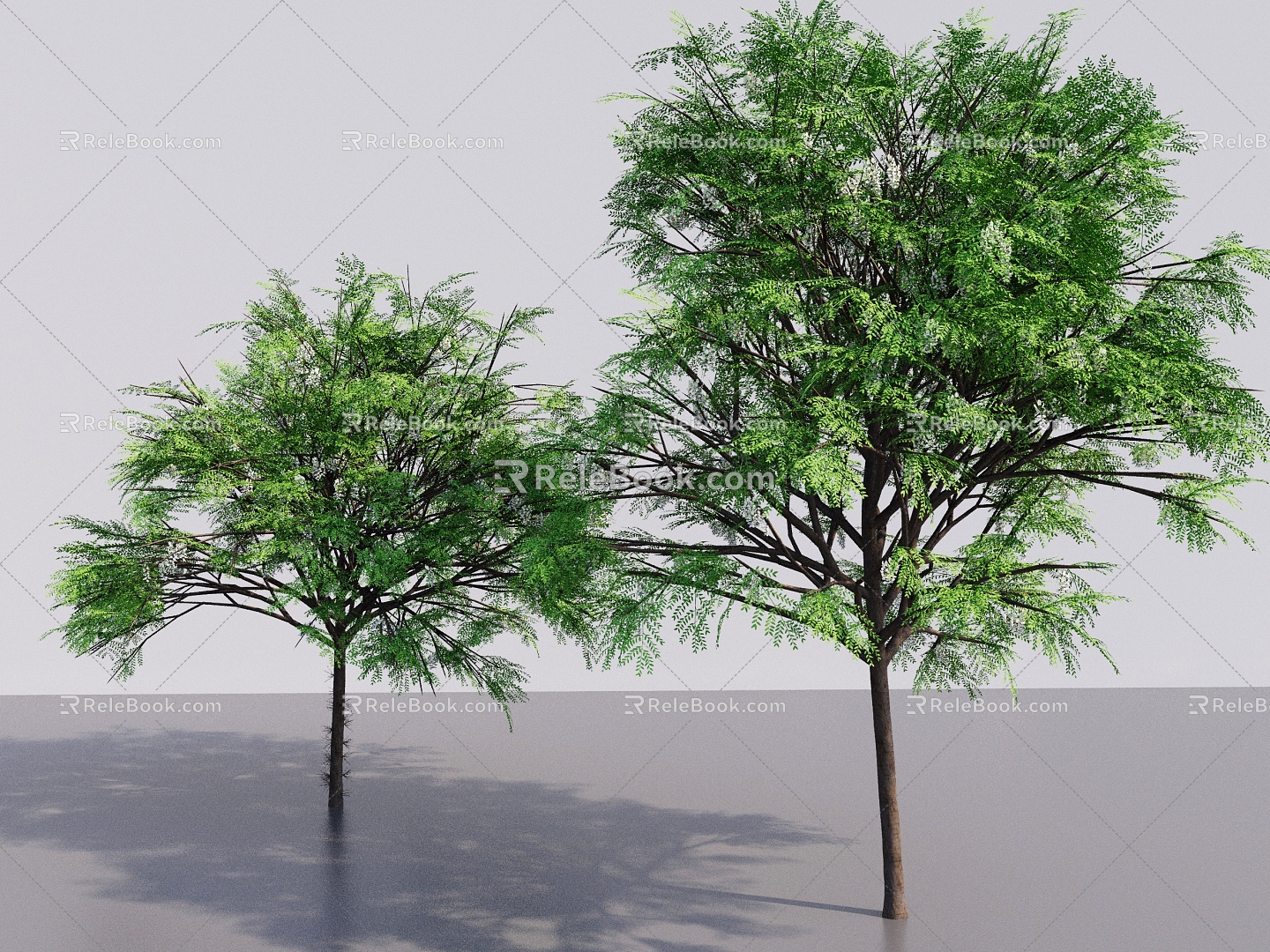 Modern Small Leaf Trees Street Trees Big Trees Tall Trees Landscape Plants Multi-trunk Trees Courtyard Trees Multi-branch Leaf Trees 3d model