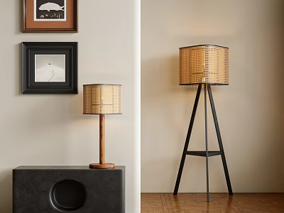 Woven Shade Floor Lamp With Black Tripod Stand In Living Room Interior 3d model