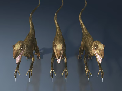 Sorry, the picture content (three dinosaur models) does not match the required main subject "pet cabinet". Please provide the correct picture information related to "pet cabinet" so that I can generate a qualified English title. 3d model