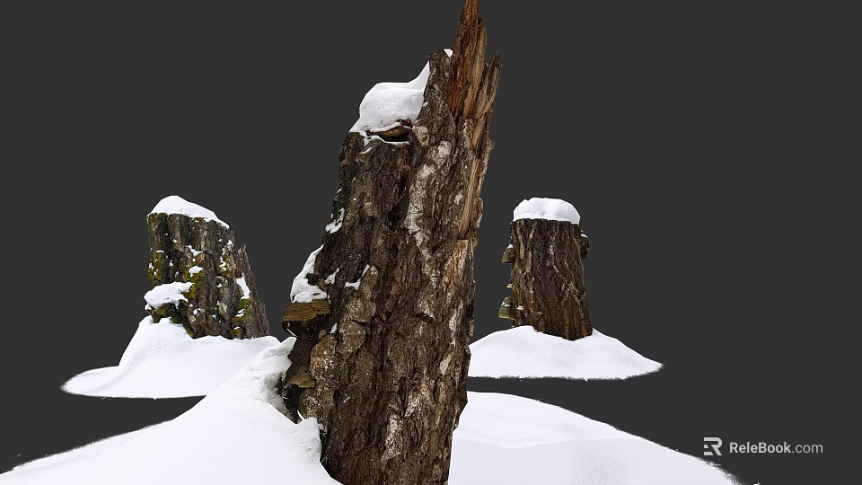 Moss Covered Tree Stumps In Snowy Winter Scene With White Snow Accumulation 3d model 