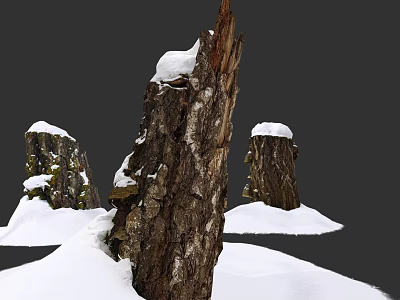 Moss Covered Tree Stumps In Snowy Winter Scene With White Snow Accumulation 3d model