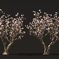 Blooming Flowering Trees With Dense Pink Blossoms And Natural Trunks