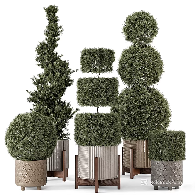 Various Shaped Decorative Bonsai Plants In Stylish Modern Design Pots 3d model