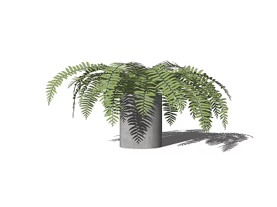 Potted Fern Plant in Gray Cylindrical Pot with Lush Green Fronds for Indoor Decorative 3d model