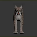 3D Lynx Model with Pink Fur and Spots Standing on Dark Background Open Mouth