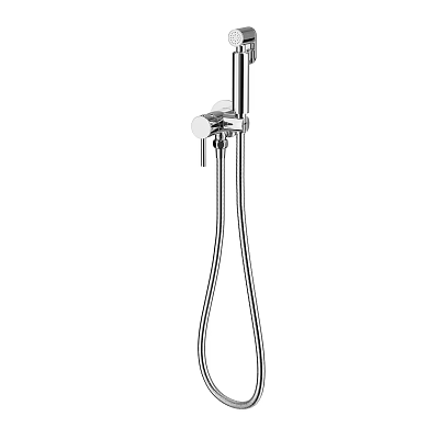 Modern Chrome Shower Head with Handheld Sprayer Flexible Hose and Wall Mounted Bracket Design 3d model