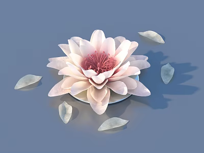 Pink Lotus Flower in White Vase Surrounded by White Petals on Blue Background 3d model