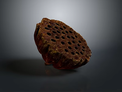 Fresh Reddish Brown Lotus Root Slice With Hollow Holes On Dark Background 3d model