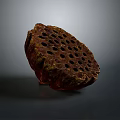 Fresh Reddish Brown Lotus Root Slice With Hollow Holes On Dark Background